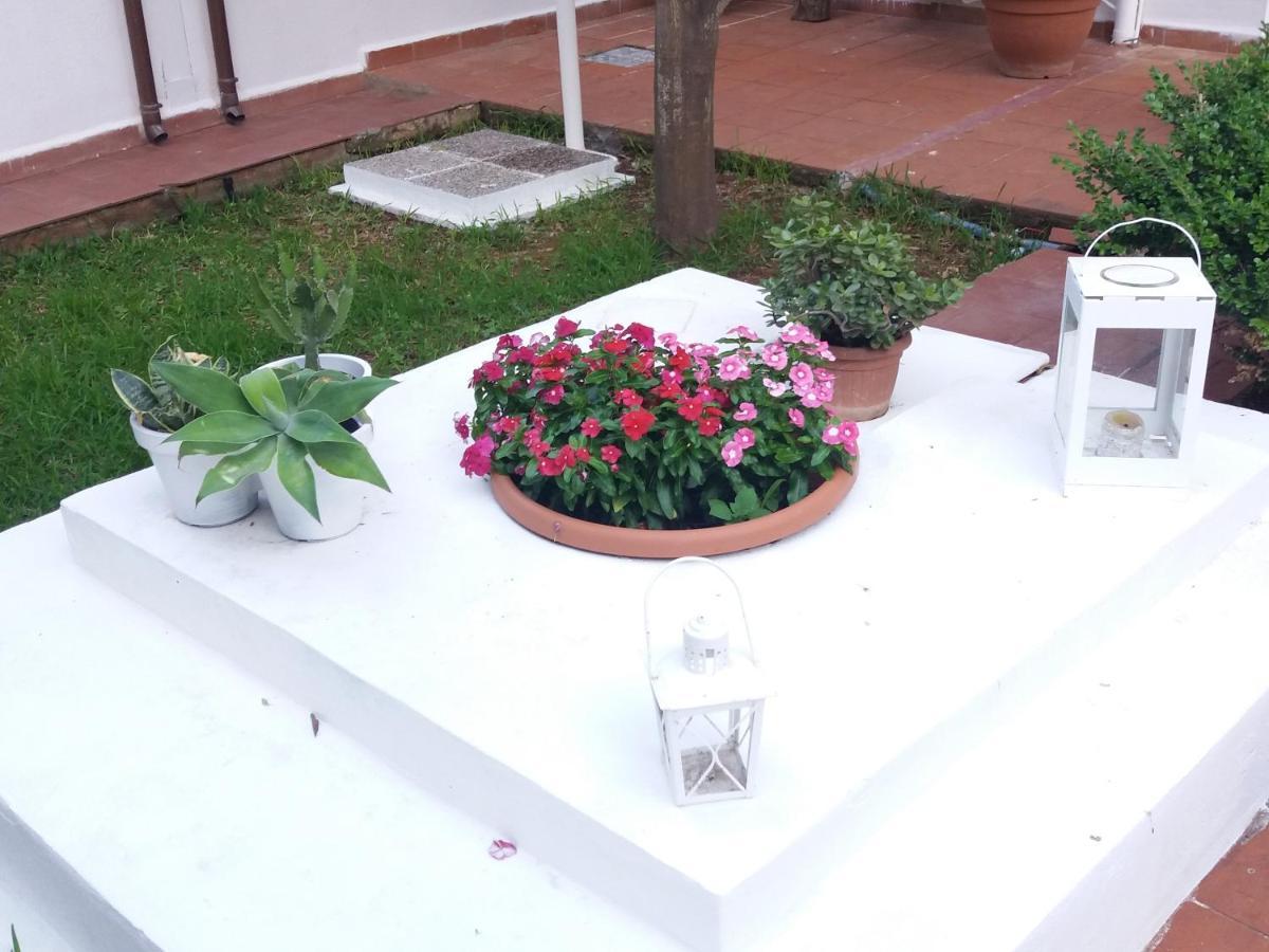 Casa Agrumeto - Locazione Turistica มอนเดลโล ภายนอก รูปภาพ