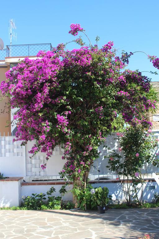 Casa Agrumeto - Locazione Turistica มอนเดลโล ห้อง รูปภาพ