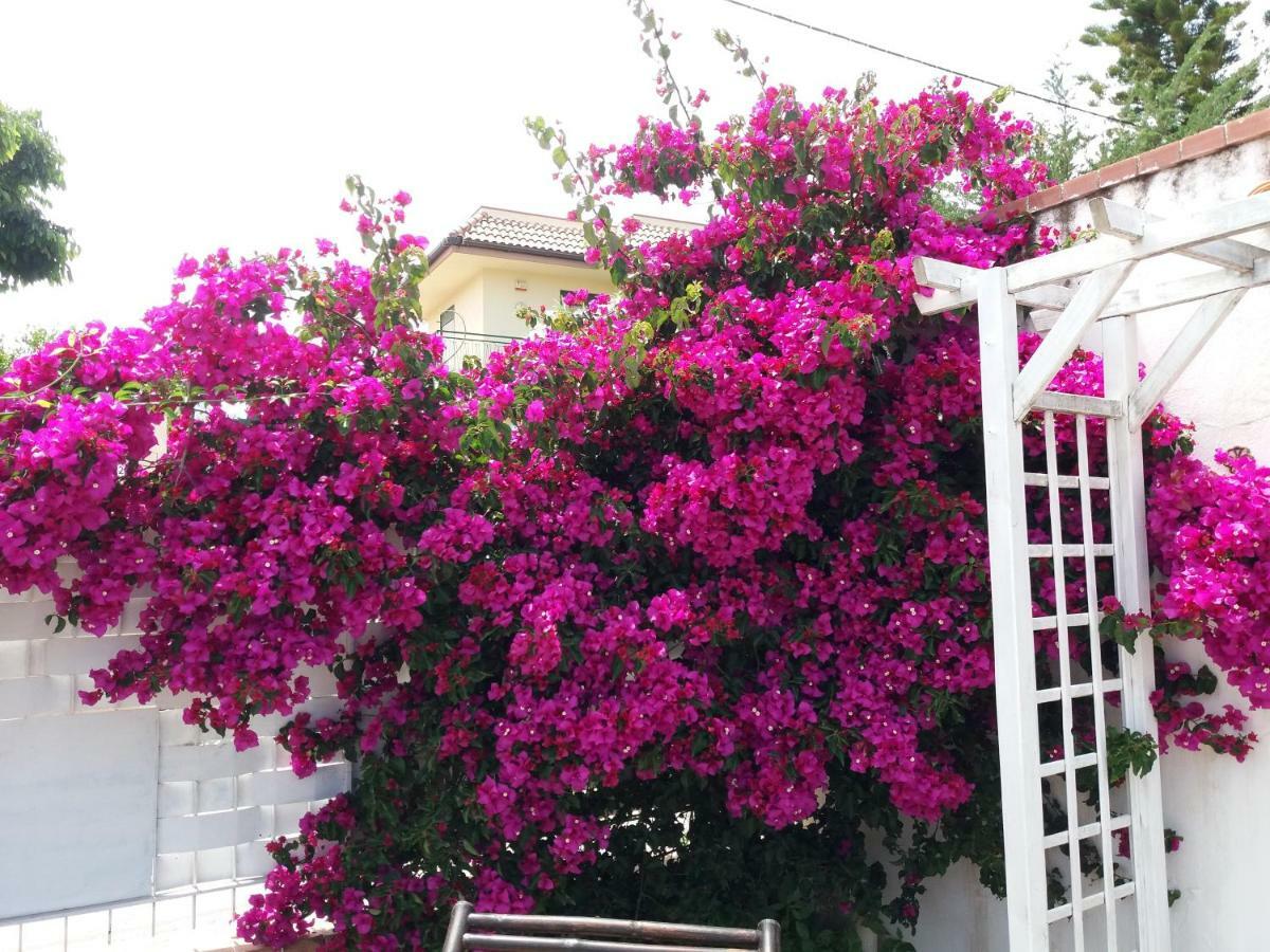 Casa Agrumeto - Locazione Turistica มอนเดลโล ภายนอก รูปภาพ