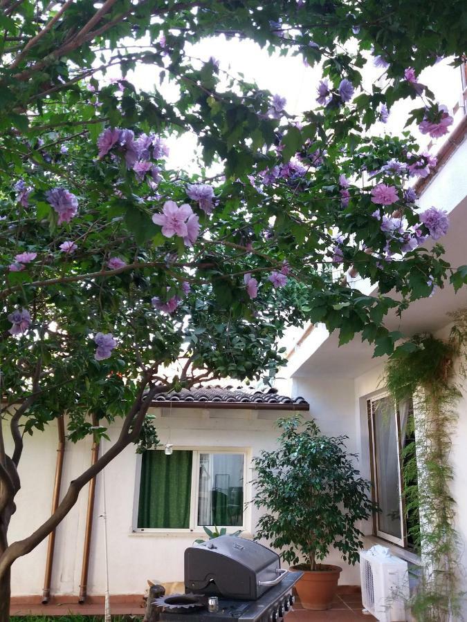 Casa Agrumeto - Locazione Turistica มอนเดลโล ภายนอก รูปภาพ